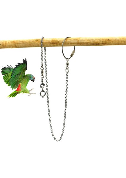 No.8 Tarzı Kuş Papağanı Ayak Zinciri Paslanmaz Çelik Ayak Bileziği Dış Mekan Uçuş Eğitimi Zinciri Için - (Yurt Dışından) modelleri