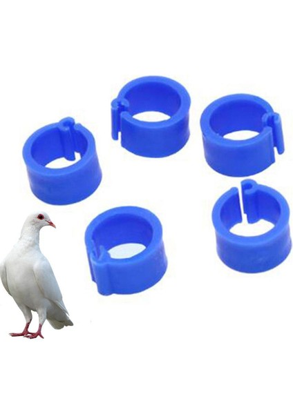 Renk 100PCS Stilini Karıştırın Kuş Bacak Klipsi Zararsız Uzatılabilir Plastik Renkli 8mm Güvercin Ayak Halkası Evcil Kuş Malzemeleri Için (Yurt Dışından) fiyatları