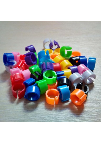 Renk 100PCS Stilini Karıştırın Kuş Bacak Klipsi Zararsız Uzatılabilir Plastik Renkli 8mm Güvercin Ayak Halkası Evcil Kuş Malzemeleri Için (Yurt Dışından) indirimleri