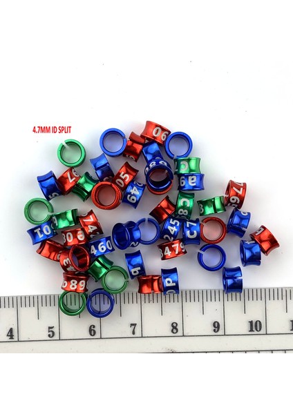 Cennet Papağanı (4,7 Mm) Stili Alüminyum Kuş Bacak Bantları - Rastgele Renkli - Çok Renkli (Yurt Dışından)