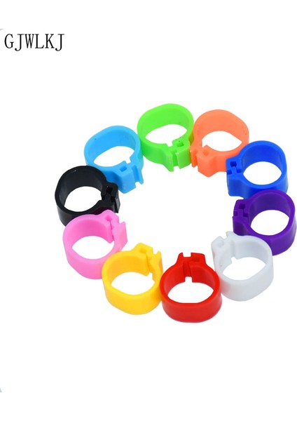 10 mm Beyaz Stil Kuş Ayak Halkası Evcil Kuş Taşıyıcı Güvercin Papağan 10 Renkli Hayvan Malzemeleri (Yurt Dışından) fiyatları