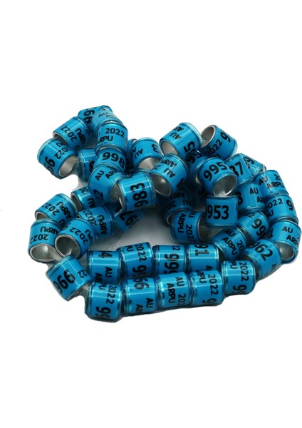 Nl Stili M Beden Çok Renkli Güvercin Ayak Halkası ile Kelime Küpeler Dayanıklı Kuş Halkası Yarış Güvercin Ayak Halkası Kuş Araçları (Yurt Dışından) fırsatları