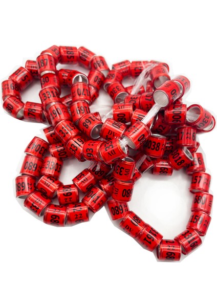 Nl Stili M Beden Çok Renkli Güvercin Ayak Halkası ile Kelime Küpeler Dayanıklı Kuş Halkası Yarış Güvercin Ayak Halkası Kuş Araçları (Yurt Dışından) indirimleri