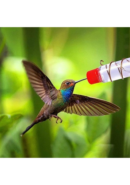 2 Şişe Set Stili Pencere Serçesi Bahçe Dekorasyonu Kuş Su Kabı Pet Malzemeleri (Yurt Dışından) modelleri