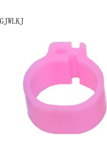 8mm Pembe Tarzı Kuş Ayak Halkası Evcil Kuş Taşıyıcı Güvercin Papağan 10 Renkli Hayvan Malzemeleri (Yurt Dışından)
