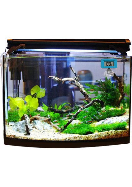Mavi Stil Dijital Daldırma Akvaryum Termometresi Balık Tankı LCD Ekran Sıcaklık Ölçer Mini Emme Kupası ile Terraryum Sürüngen Için (Yurt Dışından)