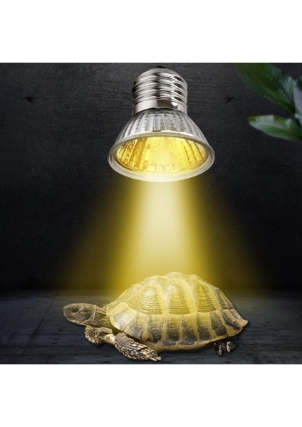 25W 110V Tarzı Bronzlaştırıcı Güneş Lambası Uva Uvb Işığı Kertenkele Kaplumbağa Evcil Hayvanlar Ampulü Balık Pet Malzemeleri Evcil Hayvan Ürünleri Ev Bahçe (Yurt Dışından) fiyatları