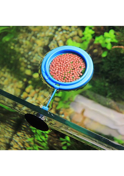 Mavi Kare Stili Resim Olarak Yeni Akvaryum Ding Ring Balık Tankı Istasyonu Yüzen Yiyecek Tepsisi Kare Daire Akvaryum Aksesuarı Emme Bardağı ile (Yurt Dışından) modelleri