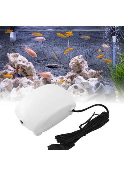 Ab Fiş Tarzı Taşınabilir Balık Tankı Oksijen Akışı Yapıcı Pompa Ultra Düşük Gürültülü Akvaryum Hava Havalandırıcı Çıkış 110V Fiş Balık Aksesuarları (Yurt Dışından) modelleri