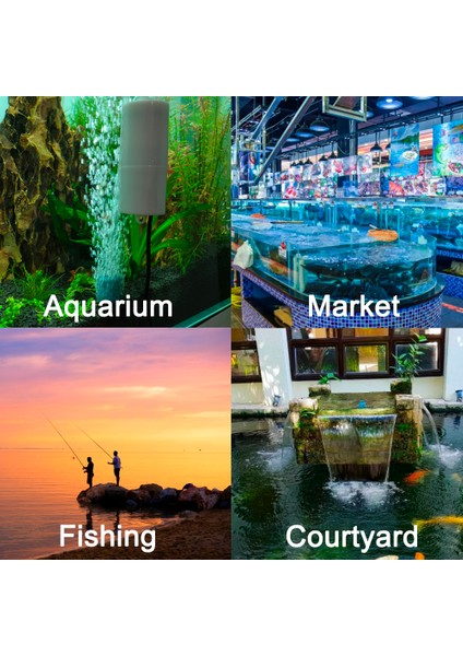 Pembe Tarzı Kit 2 Hava Diski x 1 USB Akvaryum Hava Pompası Frimp Tankı Ultra-Sessiz Mini Hava Kompresörü Oksijen Taşıyıcı Akvaryum Aksesuarları (Yurt Dışından) modelleri