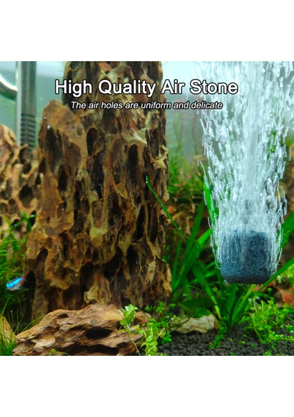 Siyah Stil Kit 2 Hava Diski x 1 USB Akvaryum Hava Pompası Frimp Tankı Ultra-Sessiz Mini Hava Kompresörü Oksijen Taşıyıcı Akvaryum Aksesuarları (Yurt Dışından) fırsatları