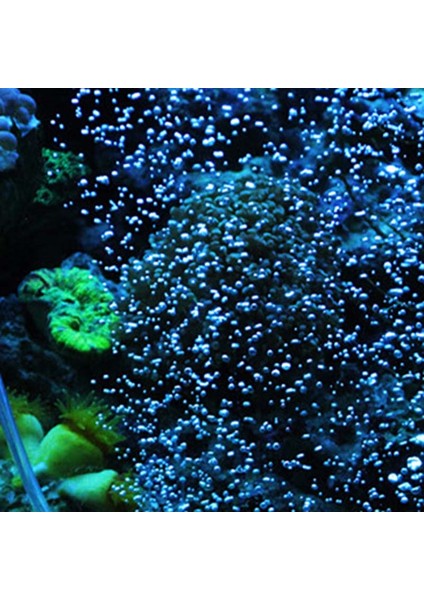 4 Inç Tarzı S Beden 5 Boyut Hava Pompası Kum Taşı Akvaryum Oksijen Pompası Taze Hava Taşı Balon Çubuğu Akvaryum Balık Tankı Havalandırma Pompası (Yurt Dışından) modelleri