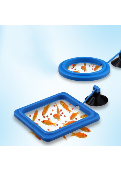 Mavi Daire Stili Resim Olarak Yeni Akvaryum Ding Ring Balık Tankı Istasyonu Yüzen Yiyecek Tepsisi Kare Daire Akvaryum Aksesuarı Emme Bardağı ile (Yurt Dışından) fiyatları