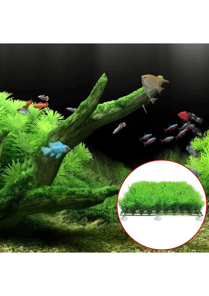 Akvaryum Emme Kupası Balık Tankı Emme Kupası Klibi Emme Kanca Ayarlanabilir Kablo Bağları Bitki Bağlama Yosun Karides Yuvası (Yurt Dışından) fırsatları
