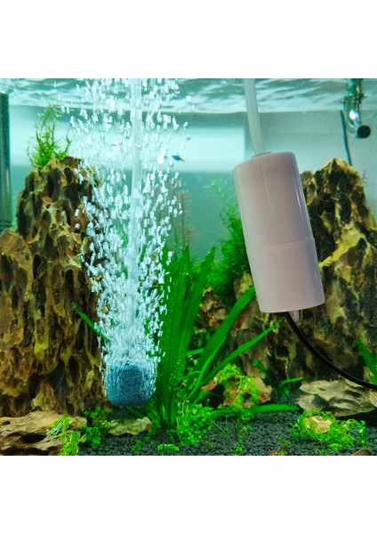 Yeşil Stil Kit 3 Hava Taşı x 2 USB Akvaryum Hava Pompası Frimp Tankı Ultra-Sessiz Mini Hava Kompresörü Oksijen Taşıyıcı Akvaryum Aksesuarları (Yurt Dışından) fiyatları