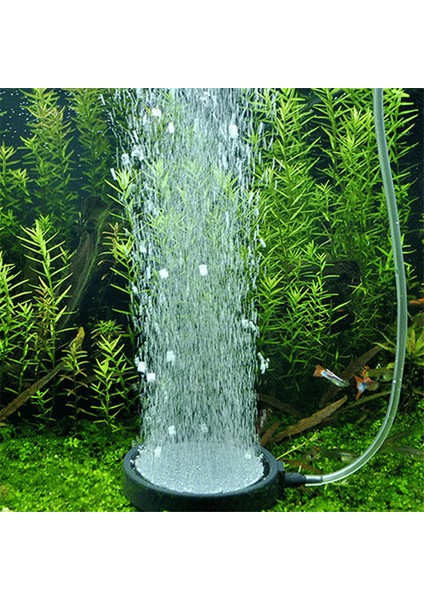 10CM Tarzı Balon Diski Hava Taşı Balon Taşıyıcı Akvaryum Balık Tankı Havuzu Hidroponik Oksijen Pompası Hava Pompası Aksesuarları (Yurt Dışından) indirimleri