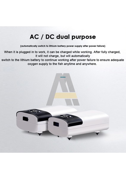 SB-168 Stili Çift (Yurt Dışından) fırsatları