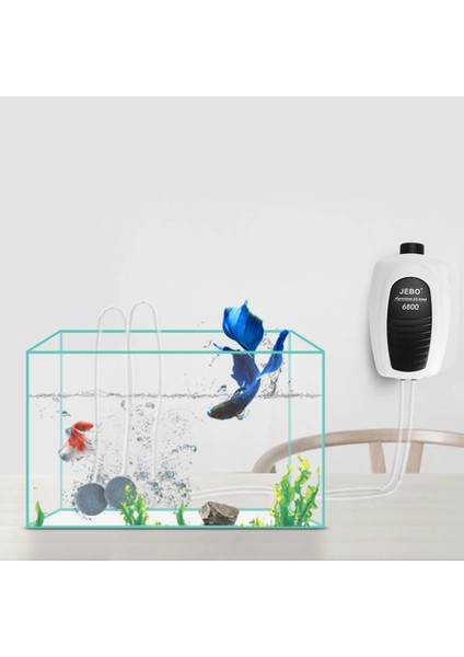 NO.6100 Stili Ingiltere Fişi Nıcrew Ultra Sessiz Akvaryum Hava Pompası Hava Kompresörü Oksijen Hava Pompası Tek Çift Çıkış Ayarlanabilir Hava Hacmi Balık Tankı Için (Yurt Dışından) modelleri