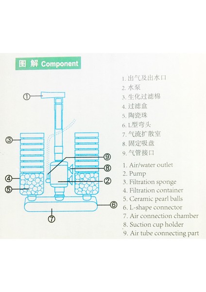 Kayış Pompası 2902 Stili Akvaryum Balık Tankı Biyokimyasal Sünger Filtre Hava Pompası Çift Başlı Emme Kupası ile Akvaryum Aksesuarları Hava Pompası Filtre Hava Taşı (Yurt Dışından) fırsatları