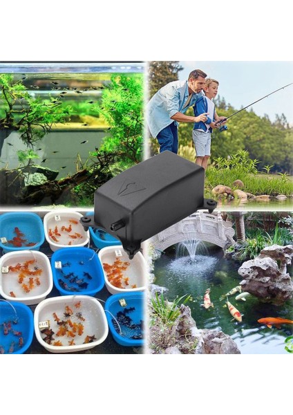 Abd Fiş Stili Ultra Sessiz Akvaryum Hava Pompası Seti Düşük Gürültülü Balık Tankı Filtresi Taşınabilir Mini Hava Kompresörü Oksijen Pompası Akvaryum Aksesuarları (Yurt Dışından) fırsatları