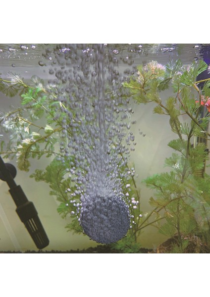 No.1 Tarzı 5 Adet Akvaryum Silindir Top Şekilli Hava Taşı Oksijen Aerator Artan Hava Balon Pompa Hidroponik Oksijen Balığı Tankı Hava Taşı (Yurt Dışından) fırsatları