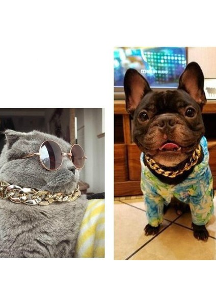 Altın Tarzı Küçük Köpek Yavrusu Kedi Pet Aksesuarları Için Ayarlanabilir Köpek Kedi Zincir Altın Kolye (Yurt Dışından) modelleri