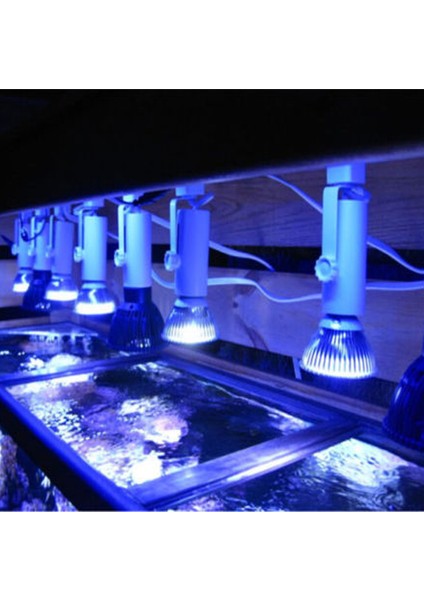 S7B Stili E27 Deniz Akvaryumu LED Lamba 21W LED Bitki Yetiştirme Işıklı Beyaz Mavi Lamba PAR30 Tam Spektrum Mercan Balığı Tankı Sps Lps Aquarium (Yurt Dışından) fiyatları