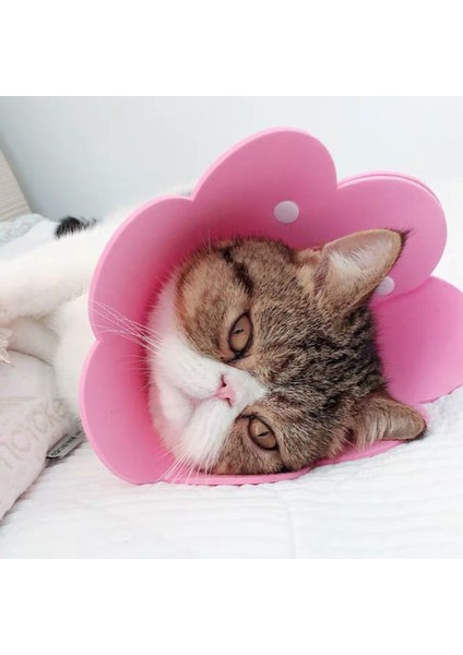 Sarı Stil M Beden Çiçek Şekilli Kedi Iyileşme Kolyesi Osmanlı Kolye Yara Iyileşme Koruyucu Kedi Kuyruğu Için Kedi Yavrusu -Köpek Yavrusu Için Koruyucu Koni (Yurt Dışından) modelleri