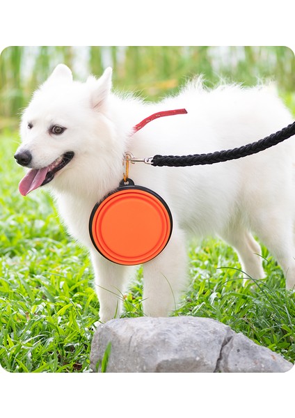 Turuncu Tarzı 350ML Taşınabilir Silikon Evcil Hayvan Su Kapları Seyahat Katlanabilir Kamp Yürüyüş Açık Ding Pet Katlanabilir Kap Kase (Yurt Dışından) indirimleri