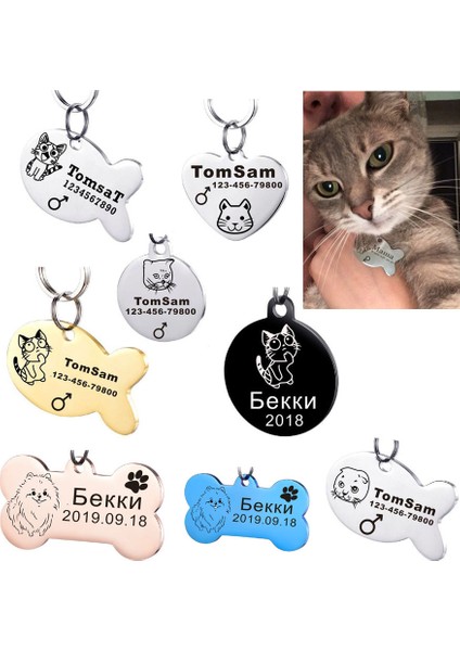 YUAN025NA Siyah Tarzı S Nokta Yok Evcil Hayvan Kimlik Etiketi Isim Telefon Paslanmaz Çelik Kişiselleştirilmiş Kedi Mesaj Yavru Tasma Aksesuarı (Yurt Dışından) fiyatları