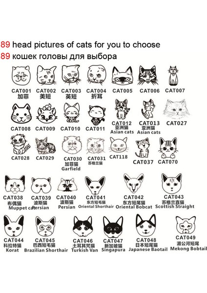 YUAN025NA Siyah Tarzı S Nokta Yok Evcil Hayvan Kimlik Etiketi Isim Telefon Paslanmaz Çelik Kişiselleştirilmiş Kedi Mesaj Yavru Tasma Aksesuarı (Yurt Dışından) indirimleri