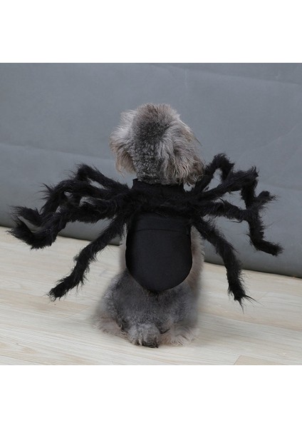 Tek Beden Tarzı M Beden Köpek Kediler Için Siyah Örümcek Köpek Kostümü (Yurt Dışından) modelleri