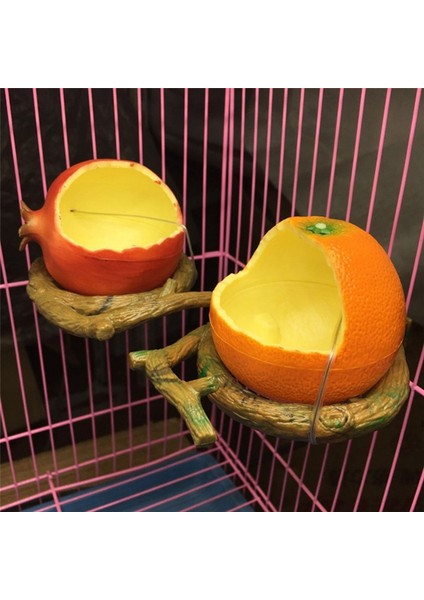 C Stili Evcil Papağan Komik Meyve Şekilli Kuş Portakal Nar Yiyecek Su Kase Konteyner Kafesler Için (Yurt Dışından) fırsatları