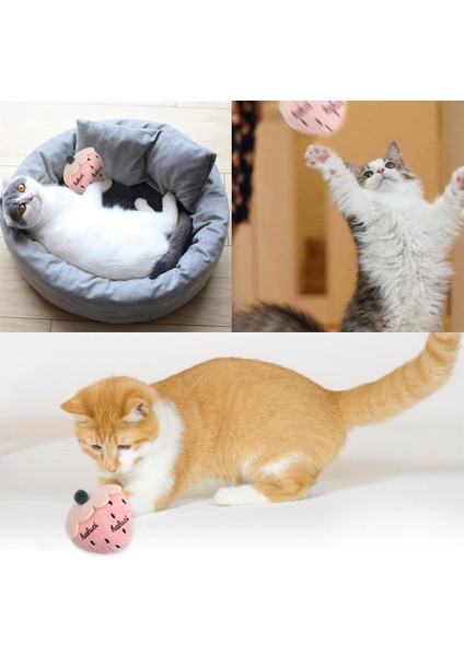 8kahverengi Ayı Stili Kedi Oyuncağı Mini Kedi Taşlama Kediotu Oyuncakları Eğlenceli Interaktif Peluş Kedi Diş Oyuncakları (Yurt Dışından) indirimleri