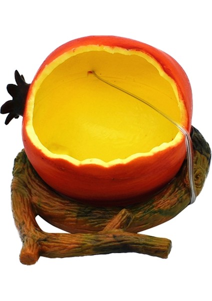B Tarzı Evcil Papağan Komik Meyve Şekilli Kuş Portakal Nar Yiyecek Su Kase Konteyner Kafesler Için (Yurt Dışından)