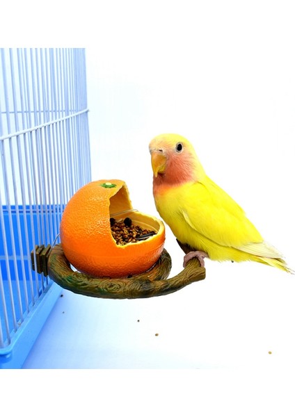 B Tarzı Evcil Papağan Komik Meyve Şekilli Kuş Portakal Nar Yiyecek Su Kase Konteyner Kafesler Için (Yurt Dışından) modelleri