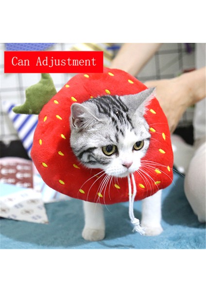 Mor Tarzı M(3kg-4.5kg) Yumuşak Tost Avokado Şekilli Pamuklu Pet Elizabethan Yaka Köpek Kedi Ayarlanabilir Yara Iyileştirme Yaka Isırma Engelleme Boyun Yüzüğü Için Evcil Hayvanlar (Yurt Dışından)