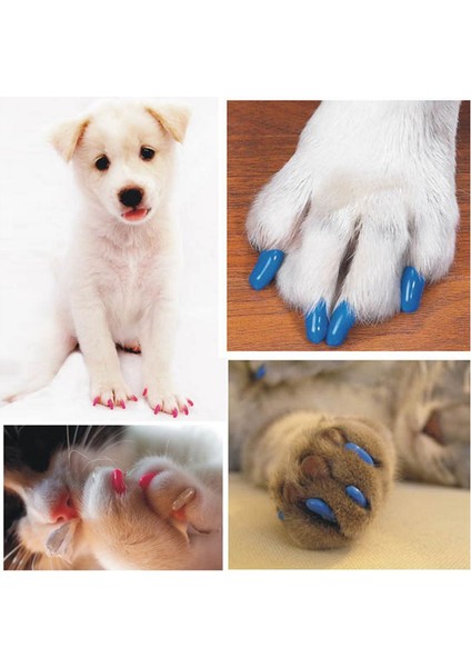 Açık Pembe Tarzı M Beden Renkli Yumuşak Kauçuk Kedi Köpek Pati Kısırlaştırma Tırnak Kılıfı Koruyucu Kedi Kedi Pati Kontrol Kısır Tırnak Kapsülü (Yurt Dışından) fiyatları