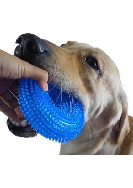 1.yeşil Stil Xl Beden Altın Retriever Büyük Köpekler Için Eğlenceli Çiğneme Dikenli Halka Halka Küçük Köpek Oyuncakları (Yurt Dışından) fiyatları