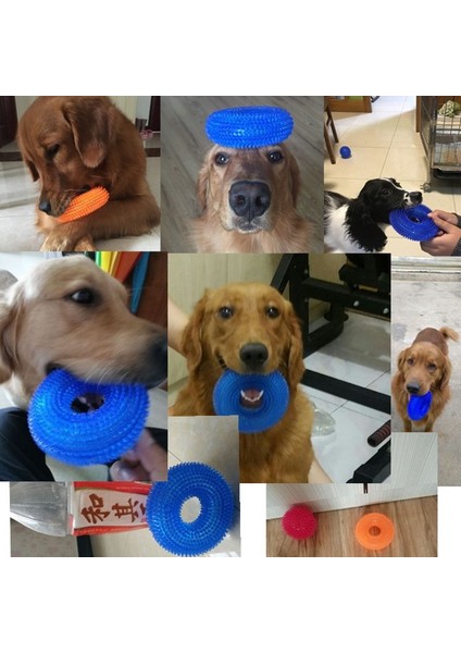 1.yeşil Stil Xl Beden Altın Retriever Büyük Köpekler Için Eğlenceli Çiğneme Dikenli Halka Halka Küçük Köpek Oyuncakları (Yurt Dışından) modelleri