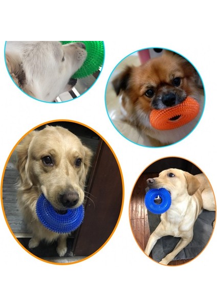 1.yeşil Stil Xl Beden Altın Retriever Büyük Köpekler Için Eğlenceli Çiğneme Dikenli Halka Halka Küçük Köpek Oyuncakları (Yurt Dışından) fırsatları