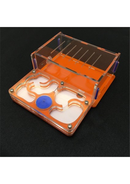 Turuncu Tarzı M Beden Karınca-Üzüm M Plan Nemli Içeren Alan Karınca Yuvası, Karınca Çiftliği Akrilik, Böcek Karınca Köşkü Ev Karıncaları Için Gelişmiş Mania Pet - Ev Karıncalar (Yurt Dışından)