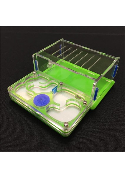 Turuncu Tarzı M Beden Karınca-Üzüm M Plan Nemli Içeren Alan Karınca Yuvası, Karınca Çiftliği Akrilik, Böcek Karınca Köşkü Ev Karıncaları Için Gelişmiş Mania Pet - Ev Karıncalar (Yurt Dışından) fiyatları