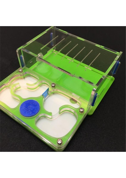 Turuncu Tarzı M Beden Karınca-Üzüm M Plan Nemli Içeren Alan Karınca Yuvası, Karınca Çiftliği Akrilik, Böcek Karınca Köşkü Ev Karıncaları Için Gelişmiş Mania Pet - Ev Karıncalar (Yurt Dışından) fırsatları