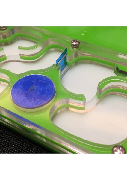 Turuncu Tarzı M Beden Karınca-Üzüm M Plan Nemli Içeren Alan Karınca Yuvası, Karınca Çiftliği Akrilik, Böcek Karınca Köşkü Ev Karıncaları Için Gelişmiş Mania Pet - Ev Karıncalar (Yurt Dışından) indirimleri