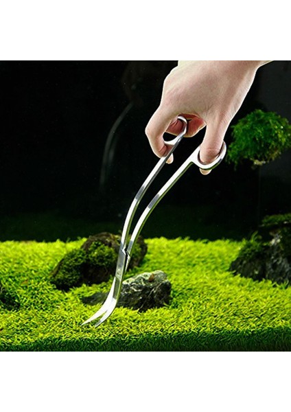 Kavisli Stil 25CM 1 Adet Paslanmaz Çelik Aquascape Aracı Akvaryum Sulama Ağzı Dalga Şeklinde (Yurt Dışından) indirimleri