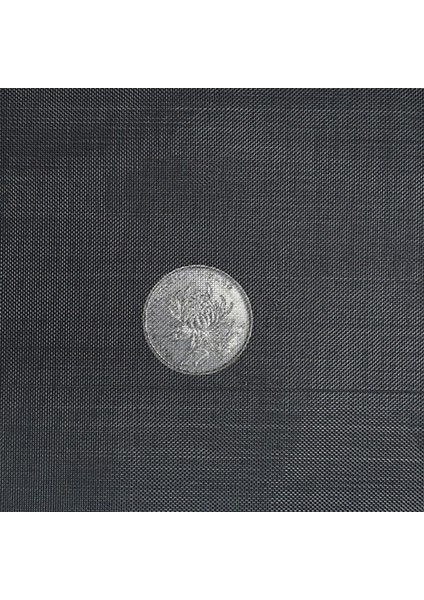Gösteri Stili Olarak 20X20CM Karınca Çiftliği Kaçış Engelleme Yoğun Ağ Karıncalar Evi Karınca Yuvası Karıncalar Kaçış Engelleme Aracı Paslanmaz Çelik 80 Mesh Ağ Karınca Yuvası Aksesuarı (Yurt Dışından)