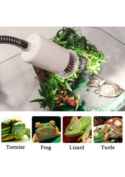 Concerto Beach Sıcak Hava Fırçası Sıcak Hava Fırçası Saç Kurutma Fırçası, Yuvarlak Fırçalı Fön Makinesi, (Yurt Dışından) fırsatları