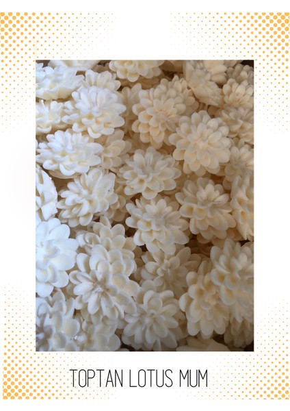 5 Adet Kutu içinde Soya Lotus Mum - Düğün, Nikah, Nişan ve Özel Gün Hediyelik - Kişiye Özel Tasarım (Toptan Alım Için Iletişime Geçin)