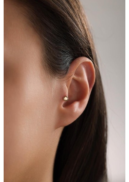 Altın Deniz Kabuğu Piercing